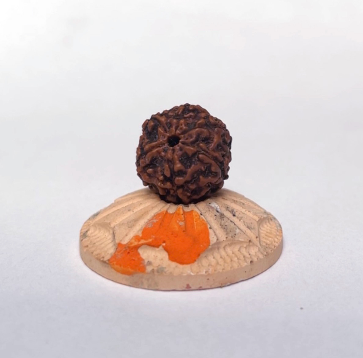 Шестиликая рудракша