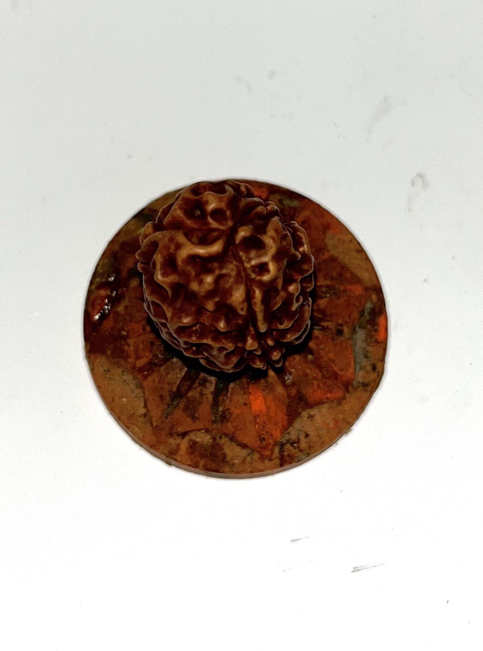 Тримукхи рудракша